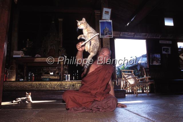 birmanie 12.JPG - Moine dresseur de chatsPagode Phaung Daw Oo ou Pagode des chatsLac InleBirmanie (Myanmar)